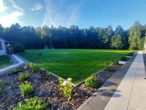a large green field with trees in the background at Apartamenty W Zaciszu in Kamienica Królewska +54 photos