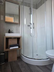 a bathroom with a shower and a sink at Tiny House Beilngries in Beilngries +7 photos