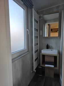 a bathroom with a sink and a window at Tiny House Beilngries in Beilngries