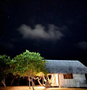 a building with a grass roof and a tree at Dell Ville Cabin in Barreirinhas +7 photos