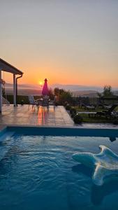 a pool with a table and a shark in the water at Villa Kaplan Sarajevo in Gladno Polje