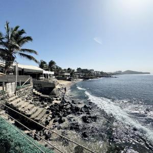 a beach with rocks and palm trees and the ocean at WHITE FLAT ALMADIES in Dakar