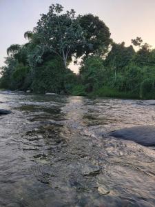 a river with a tree in the middle of it at Encuentro Vaquero in Jarabacoa