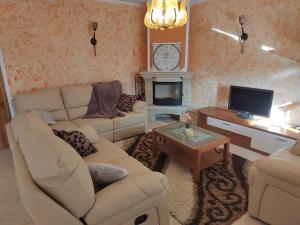 a living room with two couches and a fireplace at Villa Bella Vista - For up to 6 people Villa with Sea & Castle view in Črni Kal