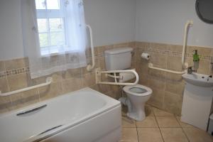 a bathroom with a toilet and a sink at Sally Gardens Cottage in Downpatrick +36 photos