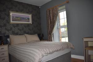a bedroom with a bed and a window at Sally Gardens Cottage in Downpatrick
