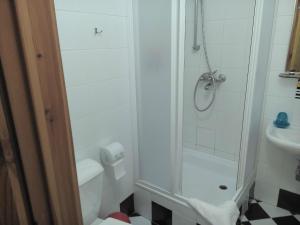a bathroom with a shower and a toilet and a sink at Litinterp Host in Vilnius