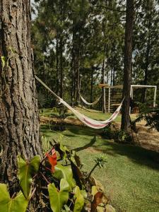 a hammock tied to a tree in a park at Camping- Sanagua Lodge in El Copé +6 photos