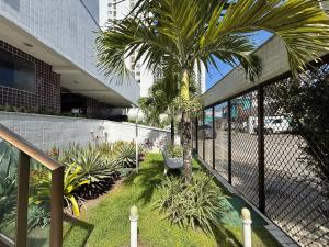 a courtyard with a palm tree next to a building at Flat Jardins Madalena in Recife