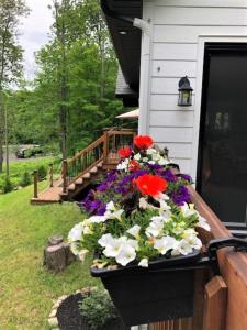 a window box with flowers on the side of a house at Rooms in peaceful nature settings in Sutton