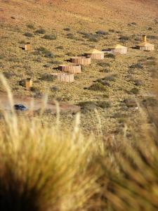 a row of huts in a field with tall grass at Yurtas Patagónicas Refugio de estepa in Bajo Caracoles