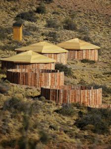 a group of wooden huts in a field at Yurtas Patagónicas Refugio de estepa in Bajo Caracoles