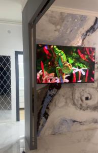 ein Fernseher mit einer Eidechse an der Wand in der Unterkunft Sweet Home in Wanadsor