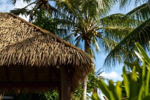 a straw hut with palm trees in the background at BIG4 Tasman Holiday Parks - South Mission Beach in South Mission Beach