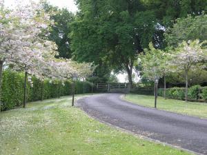 a winding road with flowering trees and a fence at Woodhey Retreat Unit 2 in Karapiro