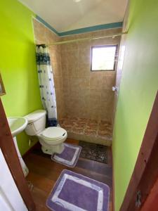 a green bathroom with a toilet and a sink at 4J's Cabins in Santa Familia