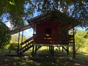 a tree house in the shade of a tree at 4J's Cabins in Santa Familia +21 photos