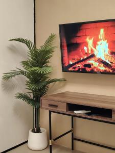 a palm tree in front of a tv with a fireplace at 963 D shore 1 in Manila