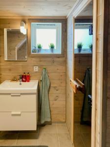 a bathroom with a sink and two windows at Mountain Cabin With Glacier Views in Norheimsund +8 photos