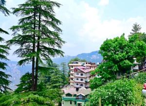 a group of buildings on a hill with trees at The Boho BNB in Shimla