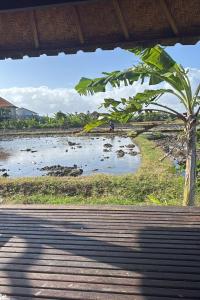a view of a body of water with a palm tree at Bali Eco Living Yoga Healing Meditation and Retreat Center in Denpasar