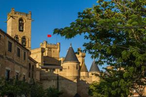 Galeriebild der Unterkunft Camping de Olite in Olite