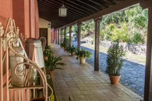 A garden outside Apartamentos Casasturga