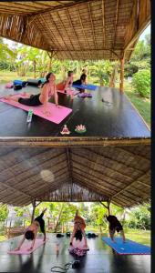 a group of people doing yoga on a table at Chill Out Resort in Ko Lanta Yai