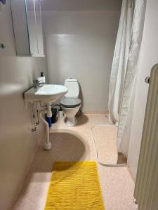 ein kleines Badezimmer mit Waschbecken und Toilette in der Unterkunft KalmarStay in Ålem + 4 Fotos
