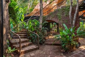 an entrance to a house with stairs and plants at Eleve in Assagao