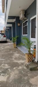 a blue building with two plants in front of it at Delight 1 Bedroom Apartment - Off Awolowo Road Ikeja in Ikeja