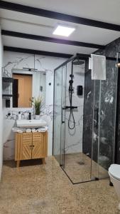 a bathroom with a shower and a sink at Nuevo Apartamento Industrial Deco Valencia Capital in Valencia