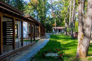 Zahrada ubytování Elmona Villas