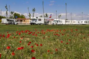Fotografie z fotogalerie ubytování Camping de Olite v destinaci Olite