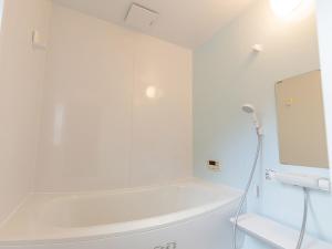 a white shower in a bathroom with a mirror at わのおうち善 in Nitanzawa