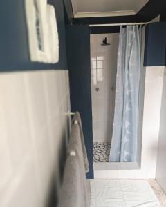 a bathroom with a shower and a shower curtain at Summerville Place in Addo
