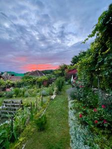 a garden with a sunset in the background at Casa Santa in Sighişoara