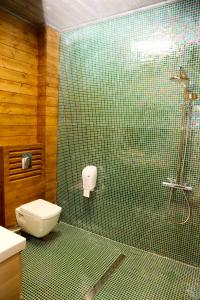 ein Badezimmer mit Toilette und Dusche mit grünen Fliesen in der Unterkunft VIP House Glavatarski Han in Glavatartsi
