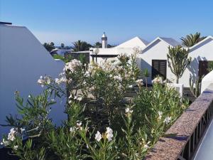 a garden with white flowers on a balcony at Studio Paraíso - Casa Paraíso Playa Blanca in Playa Blanca