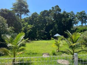 a field with palm trees and a fence at Desa Ibol Cottage and River - Max 10Pax in Kampong Sumpitan