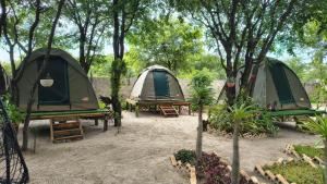 a group of tents in a field with trees at Bavarian Maun Apartments in Maun