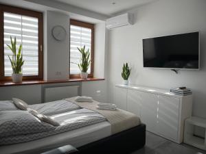a bedroom with a bed and a flat screen tv at Apartamenty AP 11 in Częstochowa