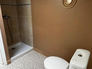 a bathroom with a toilet and a shower at Gite Camélia in La Réorthe +7 photos