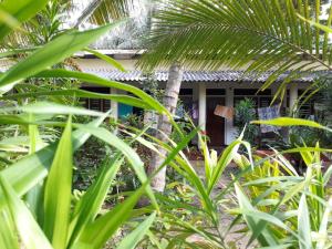 a house seen through the leaves of trees at Hector's Place in Hikkaduwa +5 photos