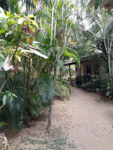 a building with a bunch of palm trees in a courtyard at Hector's Place in Hikkaduwa