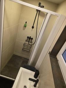 a bathroom with a sink and a shower at Tīkli 3 in Bigauņciems