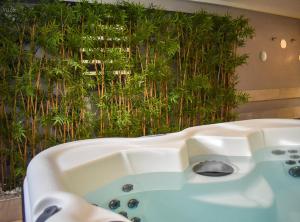 a bath tub in front of a plant at Gîte Nolan in Saint-Mesmin +23 photos