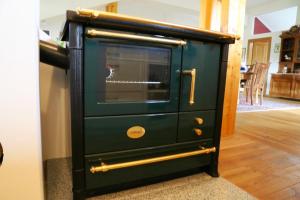 a green cabinet with a stove in a room at Luxusappartement in Zell am Moos