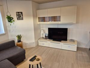 a living room with a couch and a flat screen tv at Ferienwohnung Familie Aestel in Altensteig