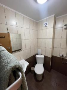a small bathroom with a toilet and a sink at Studio Béni in Smolyan +15 photos